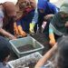 Komunitas EcoLiving Edukasi Ibu Rumah Tangga Mengelola Sampah Organik